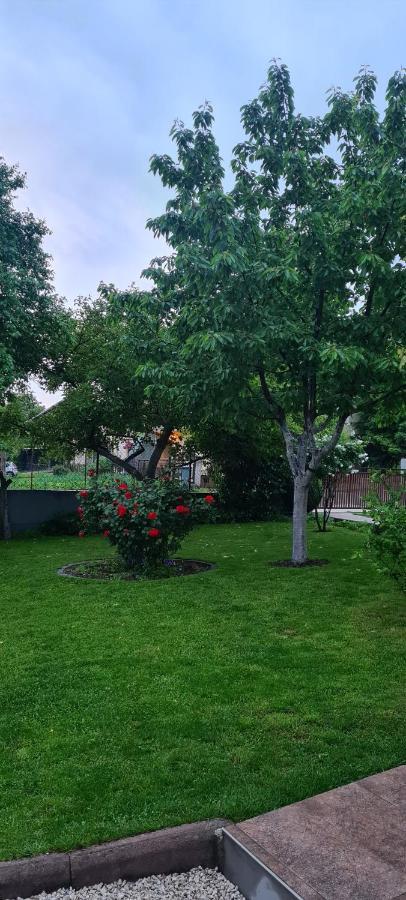 Apartament Prenociste Dubravka Livno Zewnętrze zdjęcie